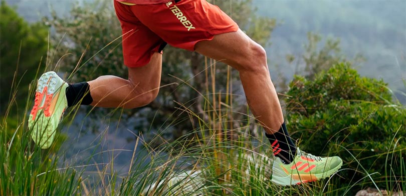 Adidas Terrex: Sus 7 mejores zapatillas de trail running y 1 de trekking post thumbnail image